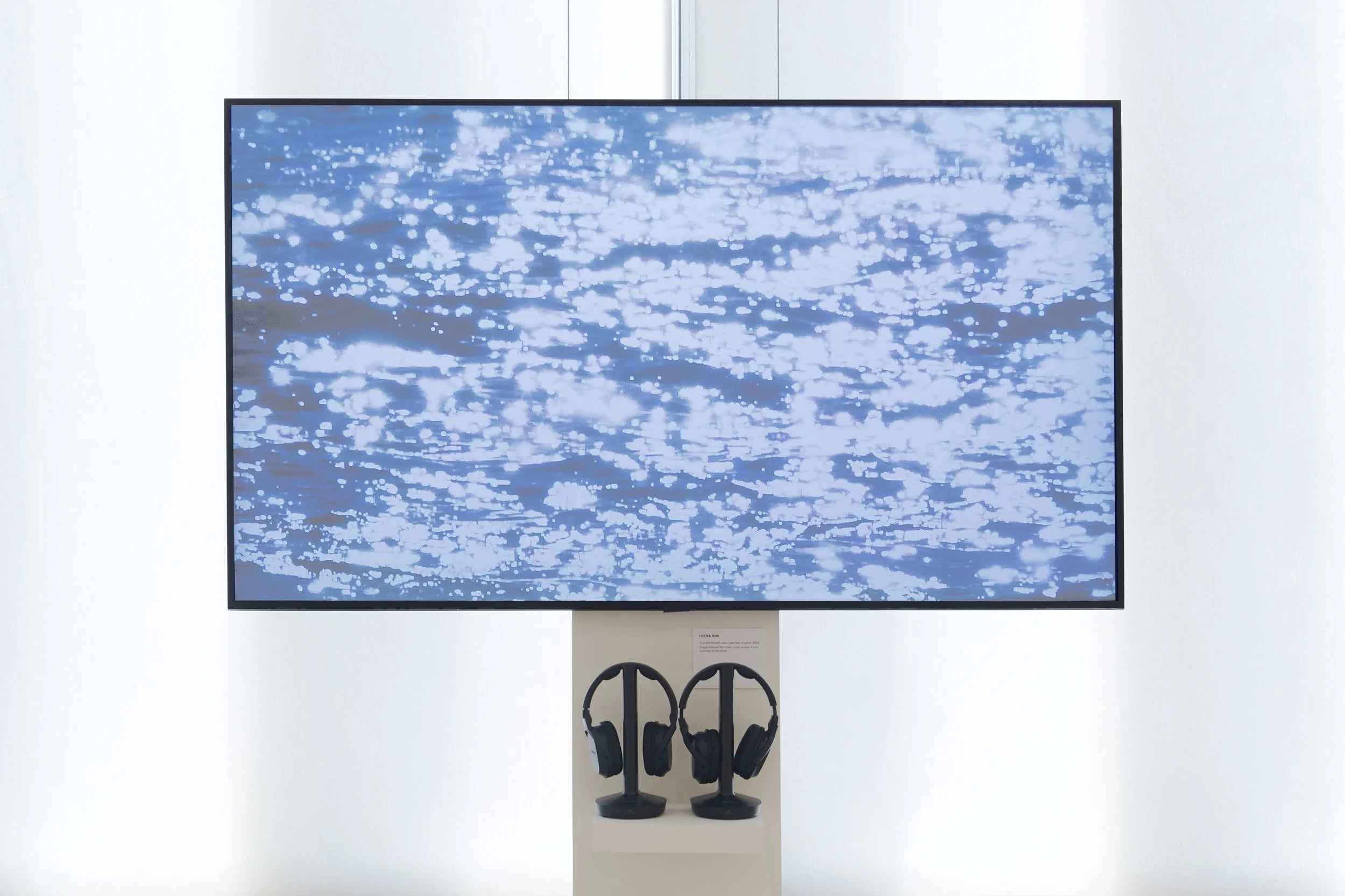 Leena Kim — Columbia University School of the Arts Visual Arts